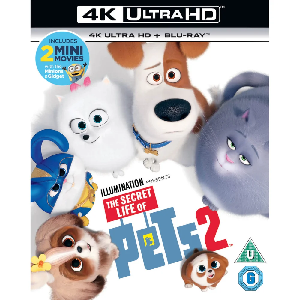 Pets 2 - 4K Ultra HD (inkl. 2D Blu-Ray) Bild 1