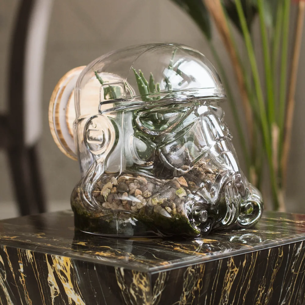 Star Wars Original Stormtrooper Terrarium Bild 1