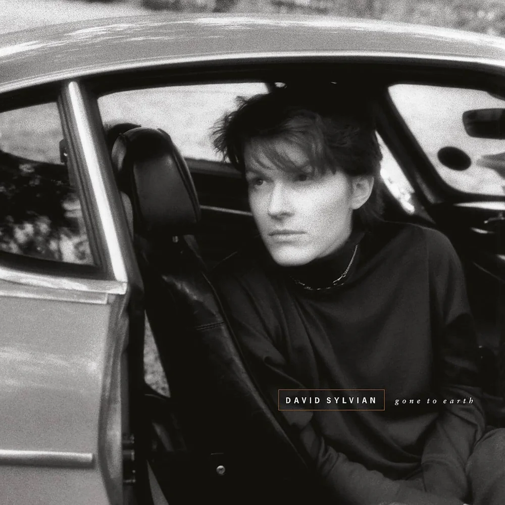 David Sylvian - Gone To Earth 2xLP Bild 1