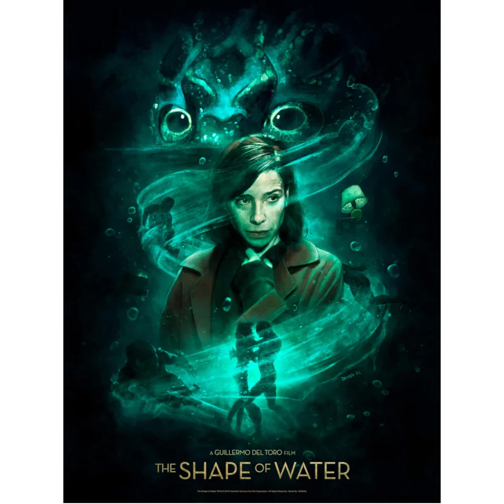 Shape of Water 'The Way He Looks at me' Lithographie-Druck von Ignacio RC Bild 1