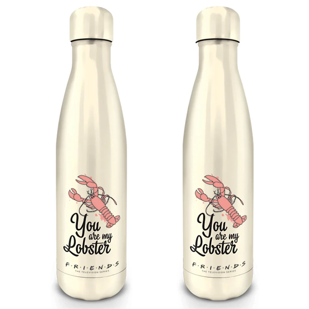 Friends (You Are My Lobster) Metal Drinks Bottle Bild 1