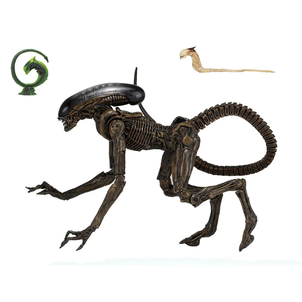 NECA Alien 3 - 7" Scale Action Figure - Ultimate Dog Alien Bild 1