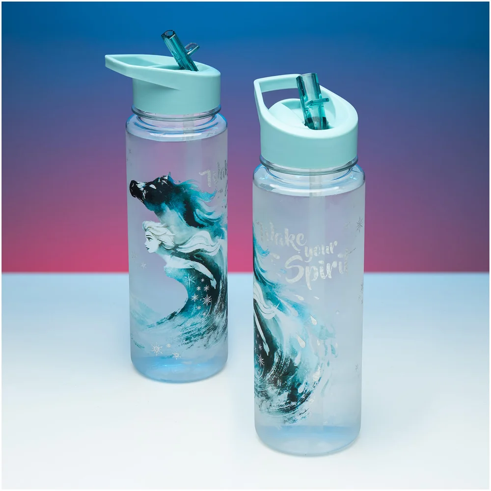 Frozen 2 Trinkflasche Bild 1