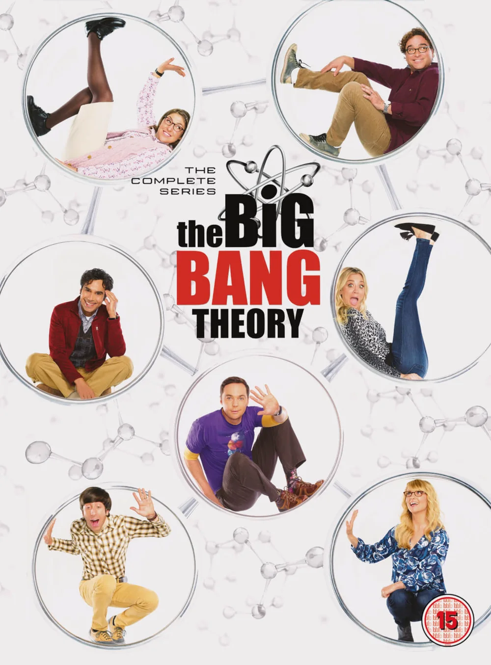 Big Bang Theory Seasons 1-12 Bild 1