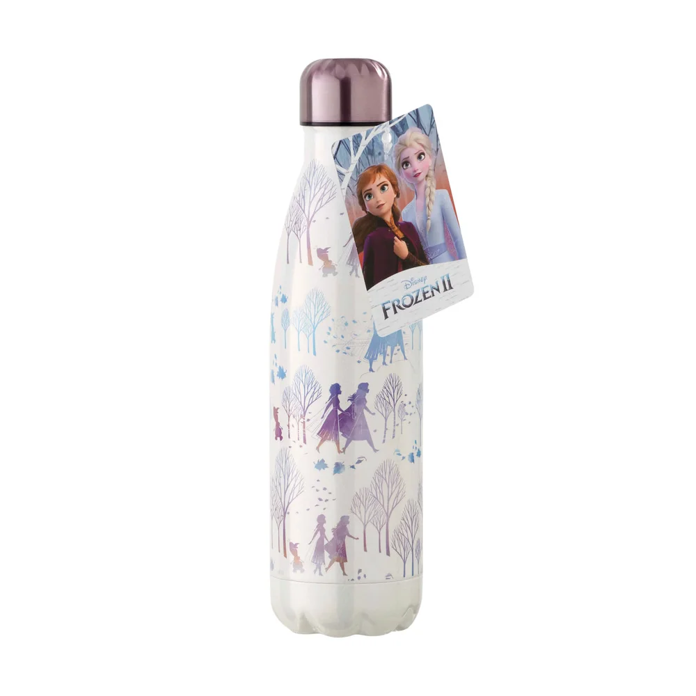Funko Homeware Disney Frozen 2 Metal Water Bottle Bild 1