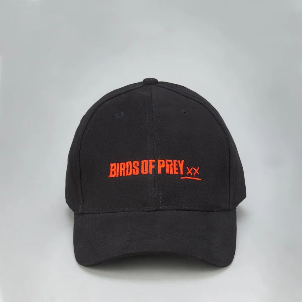 Birds of Prey Logo Cap mit Bestickung - Schwarz Bild 1