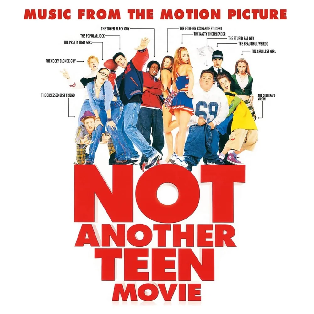 Enjoy The Ride - Not Another Teen Movie LP Bild 1
