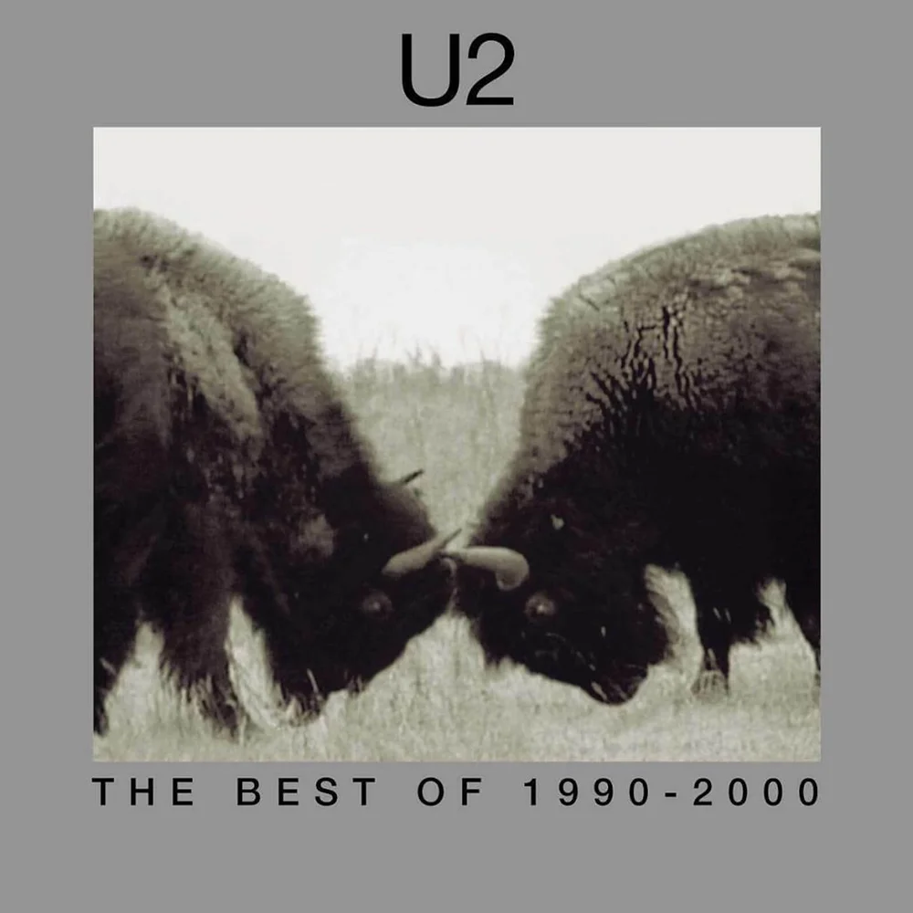 U2 - The Best Of 1990-2000 2xLP Bild 1