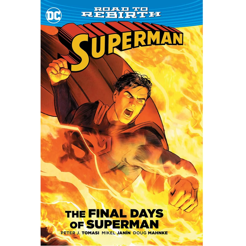 DC Comics Superman The Final Days of Superman Graphic Novel Paperback Bild 1