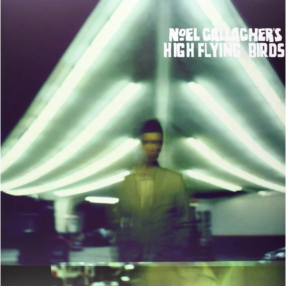 Noel Gallagher's High Flying Birds - Noel Gallagher's High Flying Birds Vinyl Bild 1