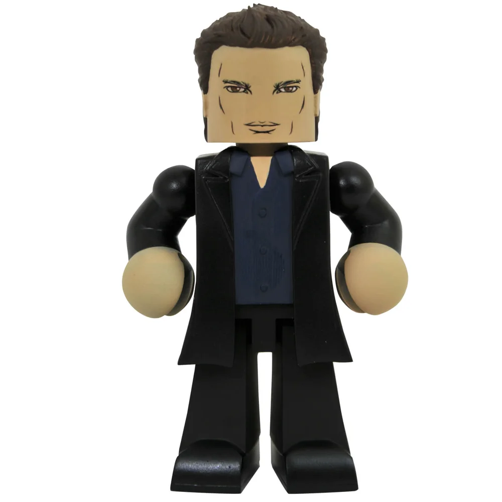 Diamond Select Buffy the Vampire Slayer Angel Vinimate Bild 1