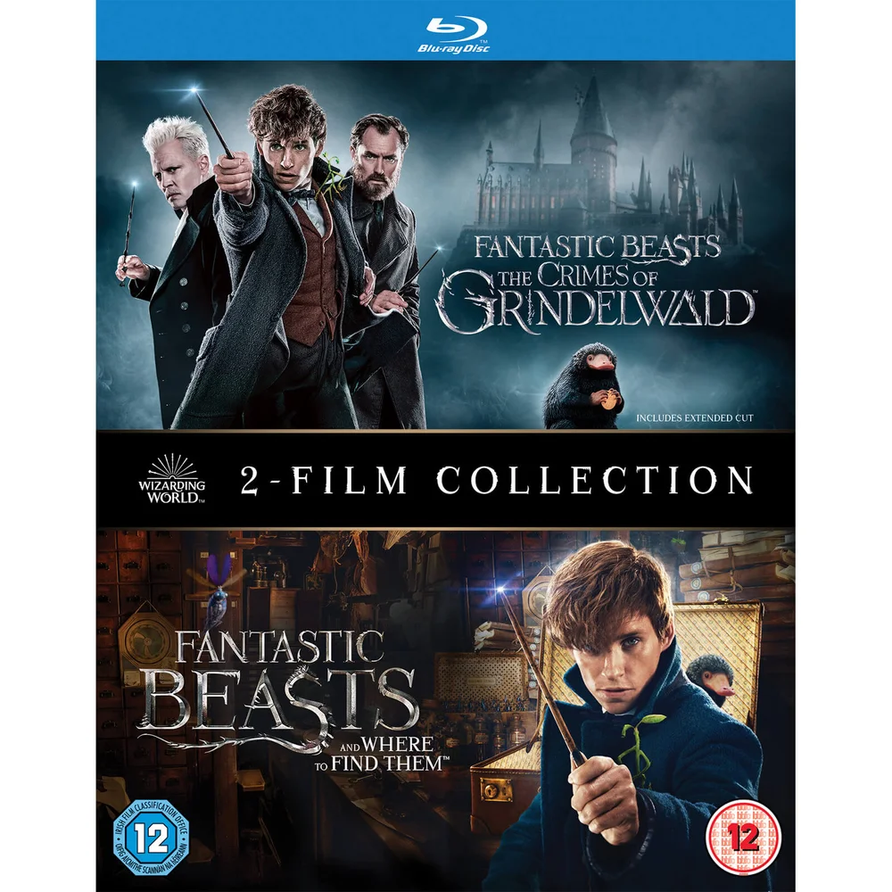 Phantastische Tierwesen: 2 Filme-Sammlung Bild 1