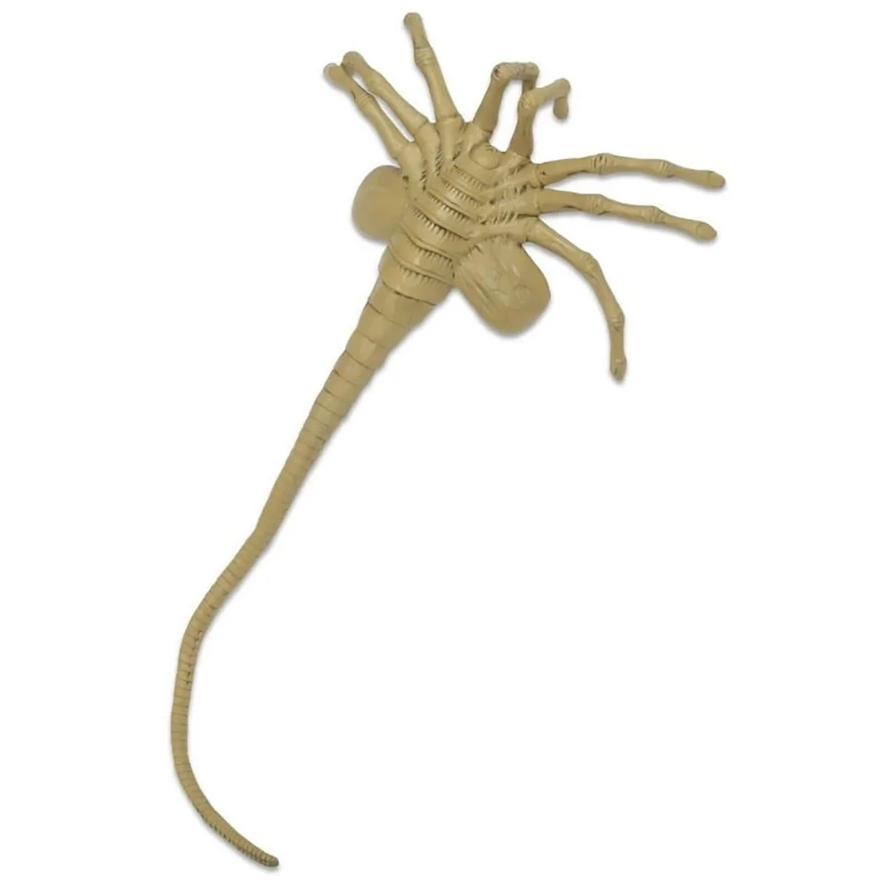 NECA Alien - Schaumstoff-Replik - Facehugger in Lebensgröße Bild 1