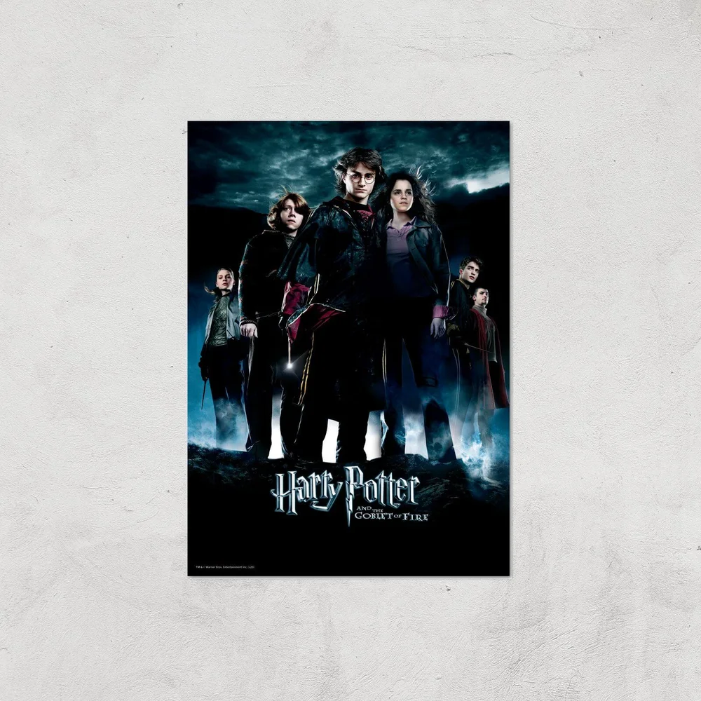 Harry Potter and the Goblet Of Fire Giclee Art Print - A4 - Print Only Bild 1