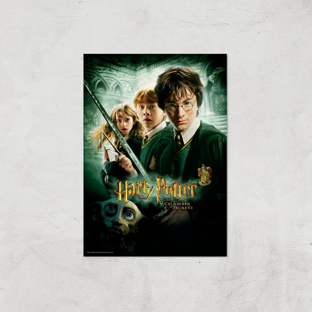 Harry Potter and the Chamber Of Secrets Giclee Art Print - A4 - Print Only Bild 1