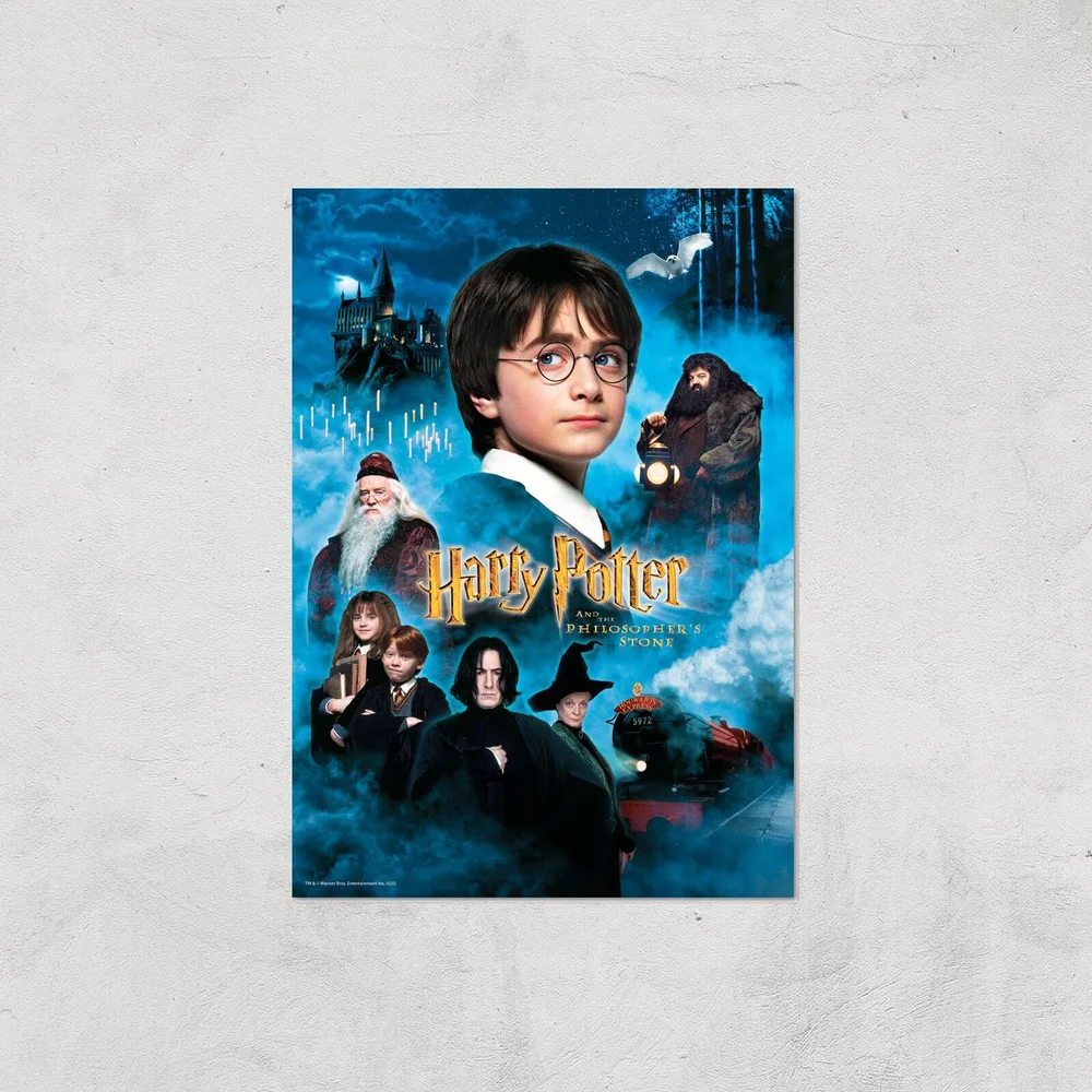 Harry Potter and the Philosopher's Stone Giclee Art Print - A4 - Print Only Bild 1