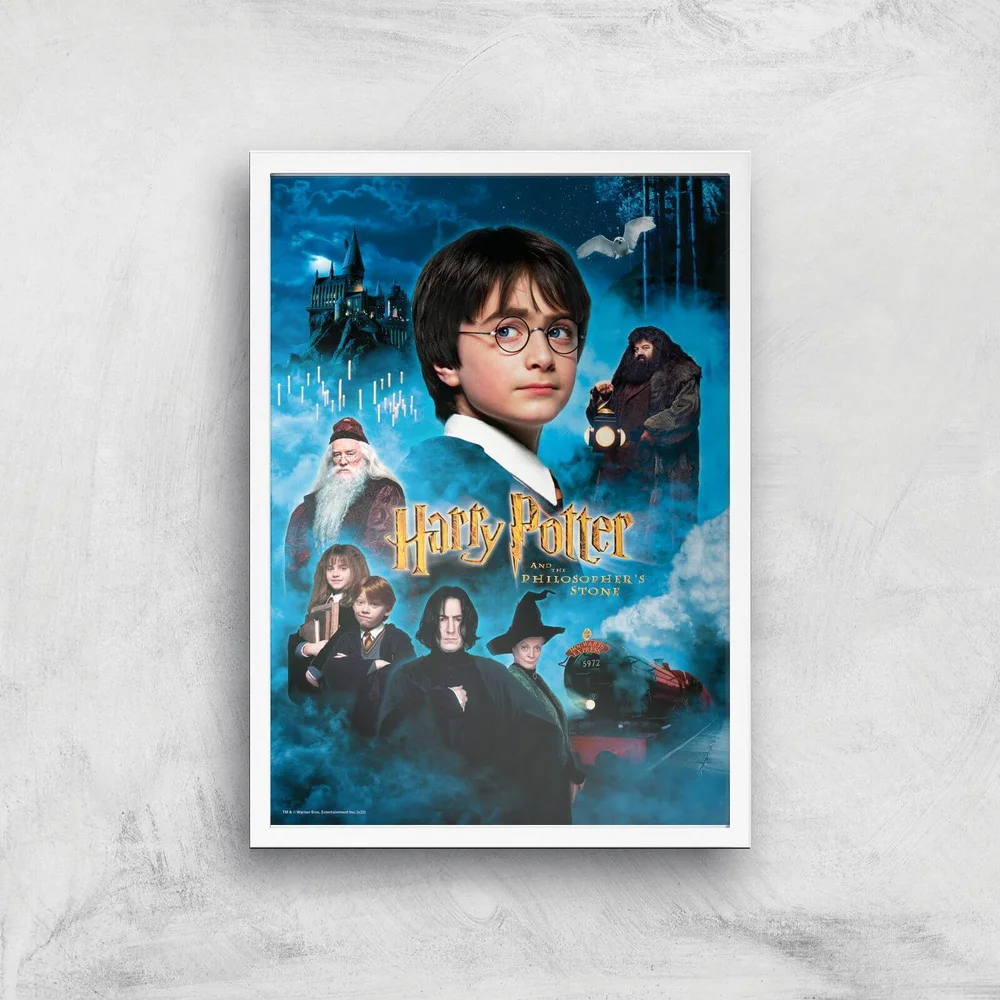 Harry Potter and the Philosopher's Stone Giclee Art Print - A4 - White Frame Bild 1