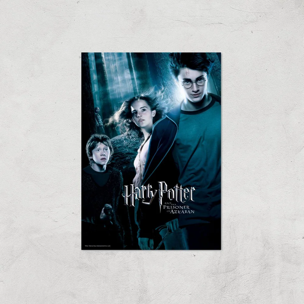 Harry Potter and the Prisoner Of Azkaban Giclee Art Print - A4 - Print Only Bild 1