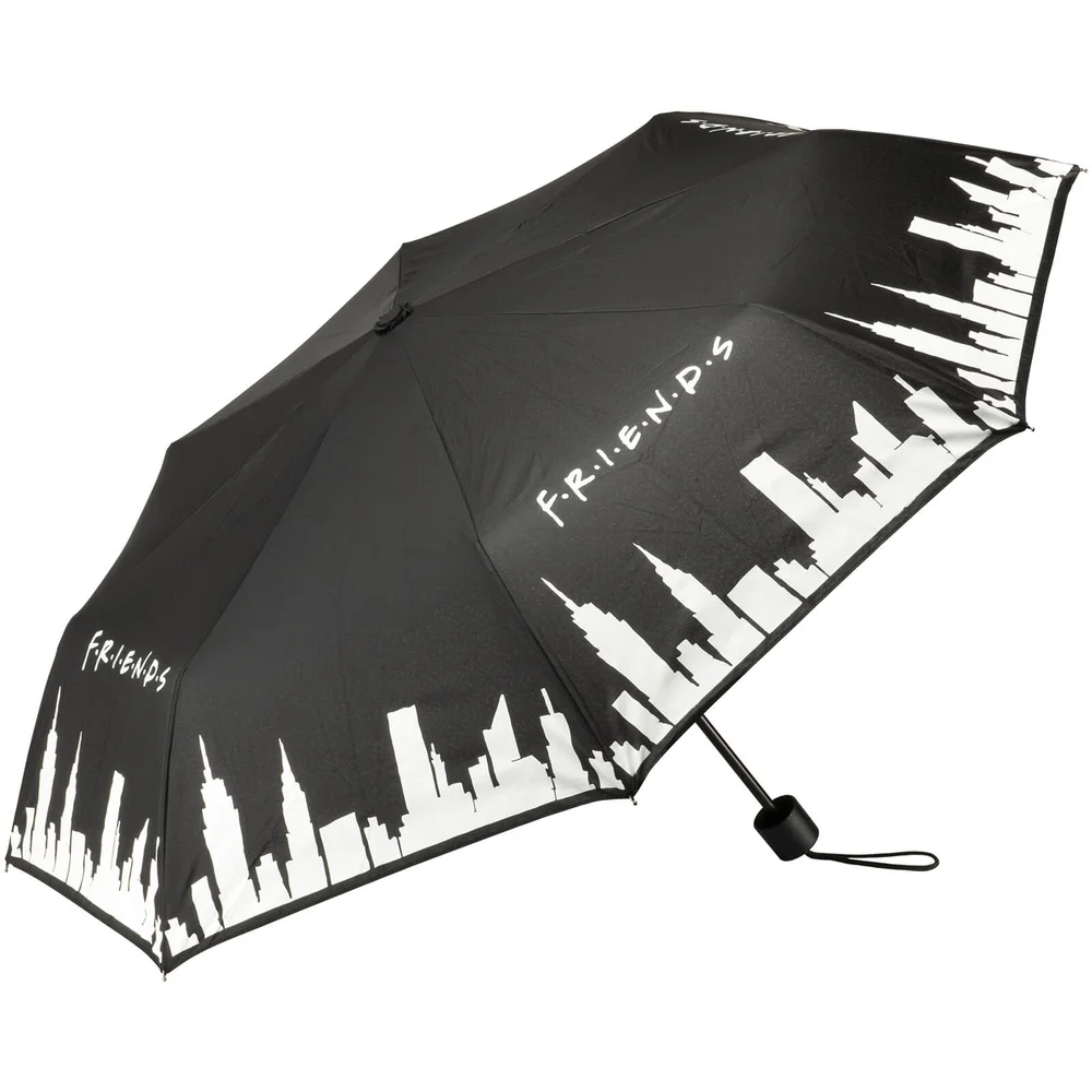 Friends Zauber-Regenschirm Bild 1