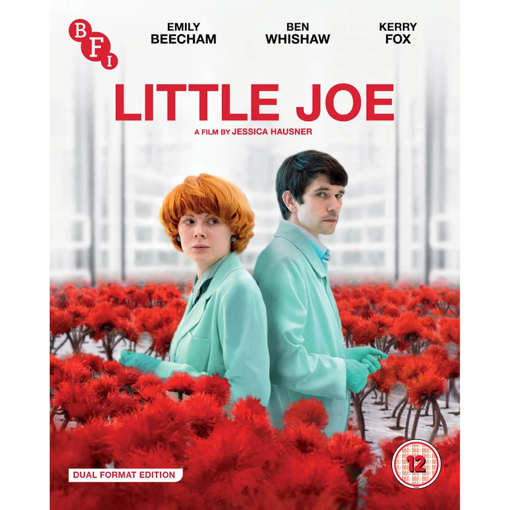 Little Joe - Doppelformat Edition Bild 1