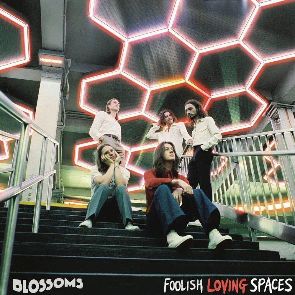 Blossoms - Foolish Loving Spaces LP Bild 1