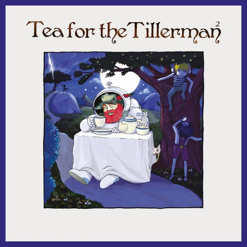 Yusuf / Cat Stevens - Tea For The Tillerman 2 Black Vinyl Gatefold Vinyl Bild 1