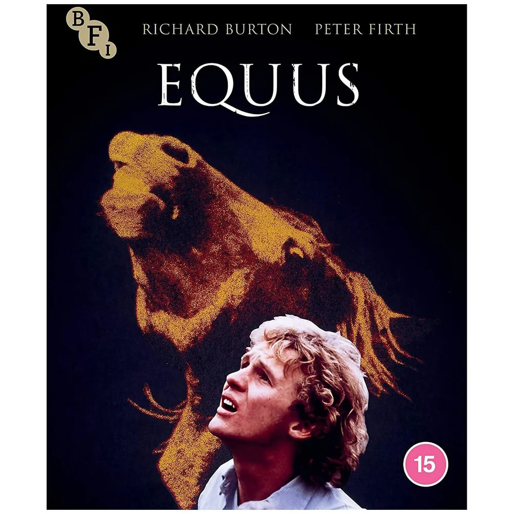 Equus Bild 1