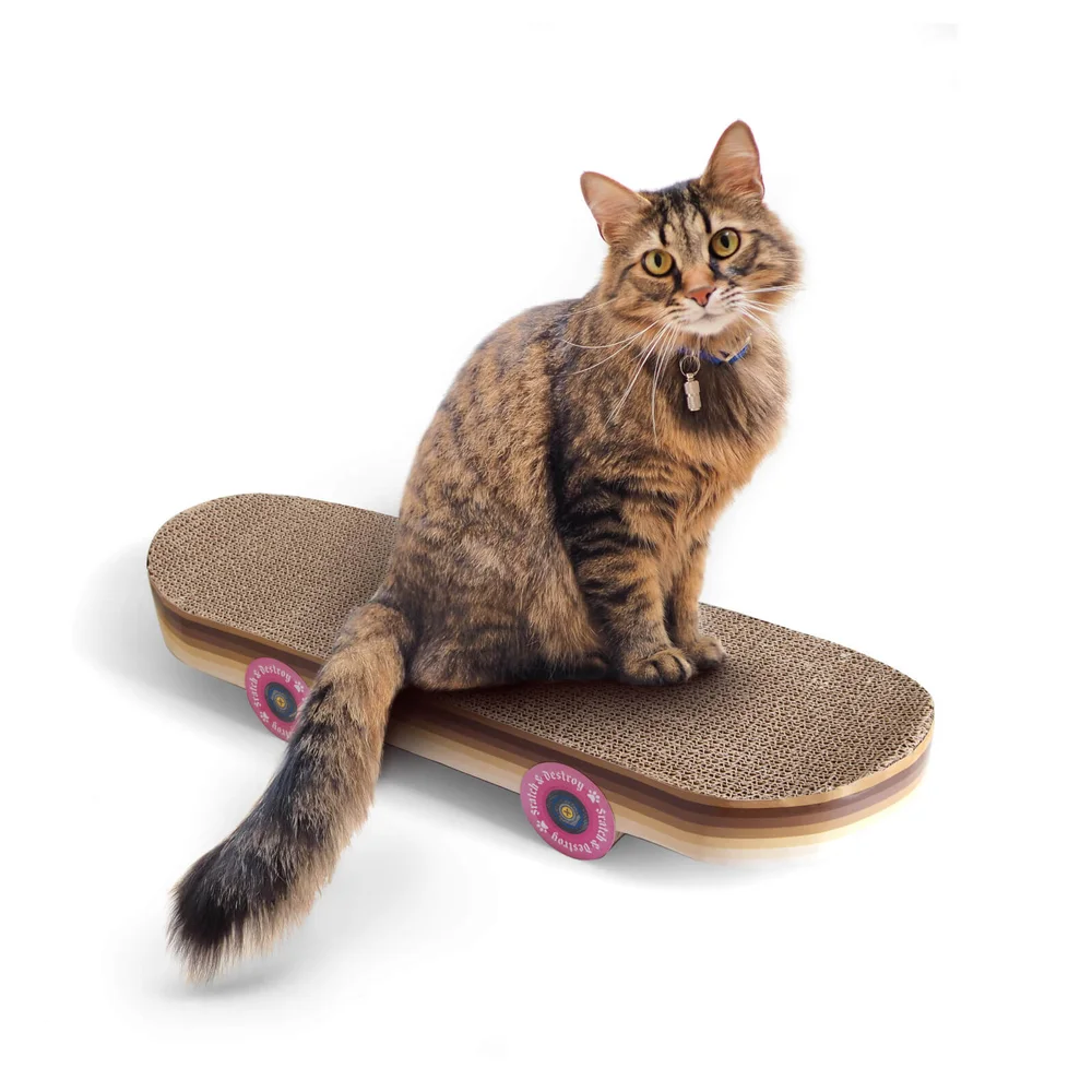 CAT SCRATCH SKATEBOARD Bild 1