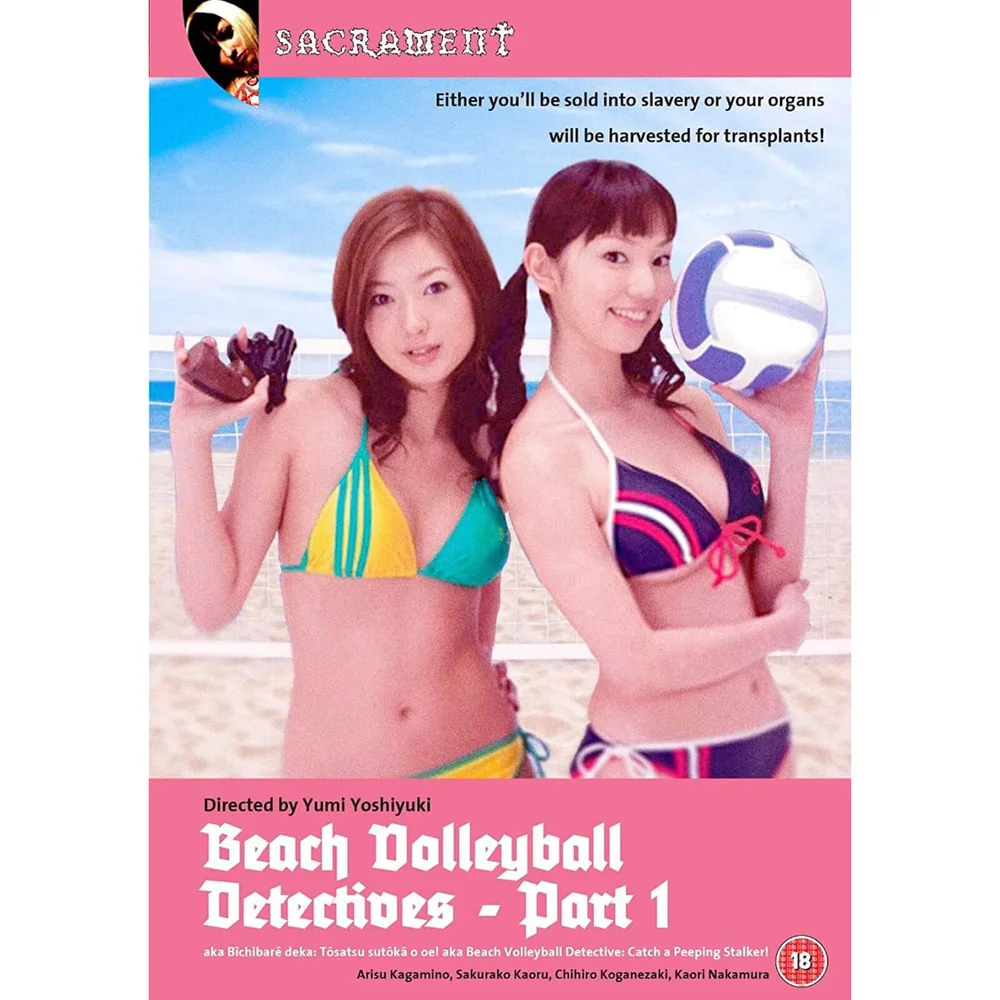 Beach Volleyball Detectives Bild 1