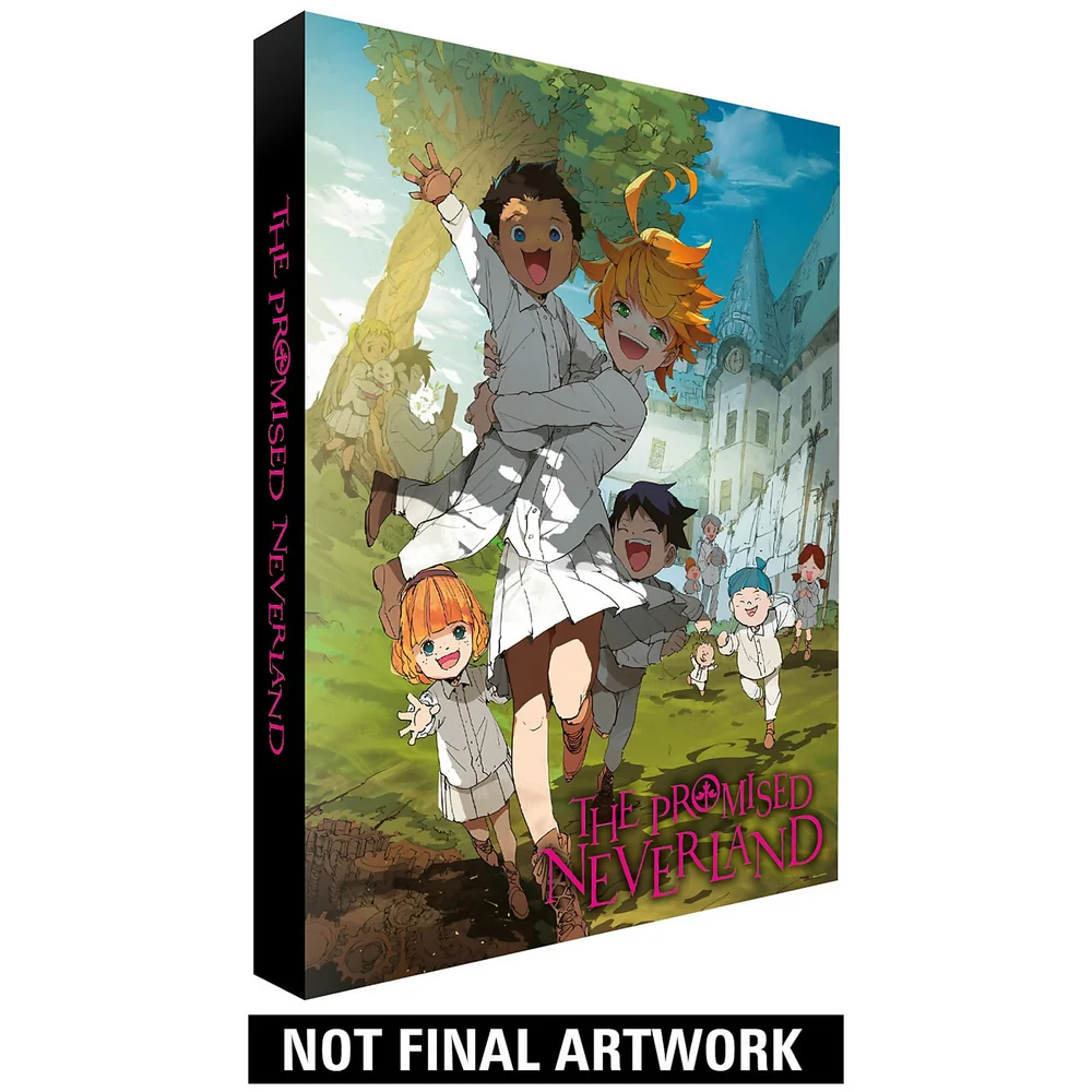 Das versprochene Nimmerland - Collector's Edition Bild 1