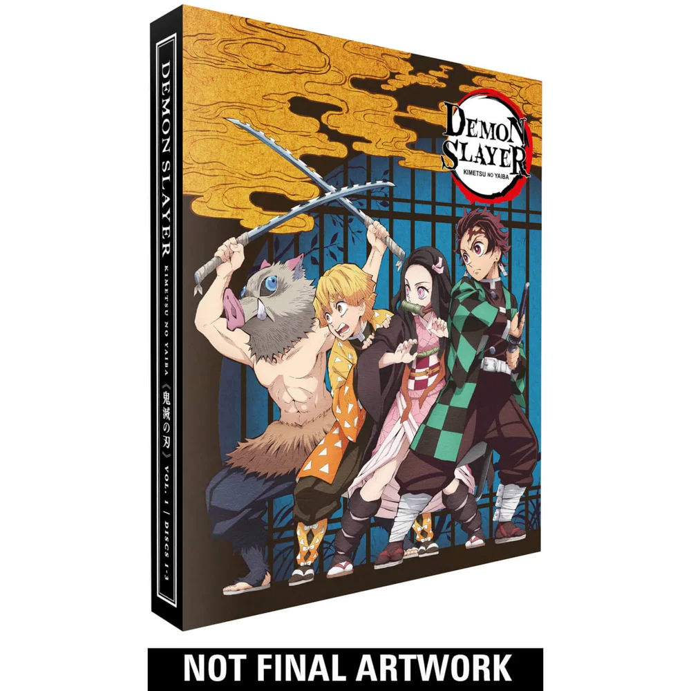 Dämonentöter Kimetsu no Yaiba - Teil 1 Collector's Edition Bild 1