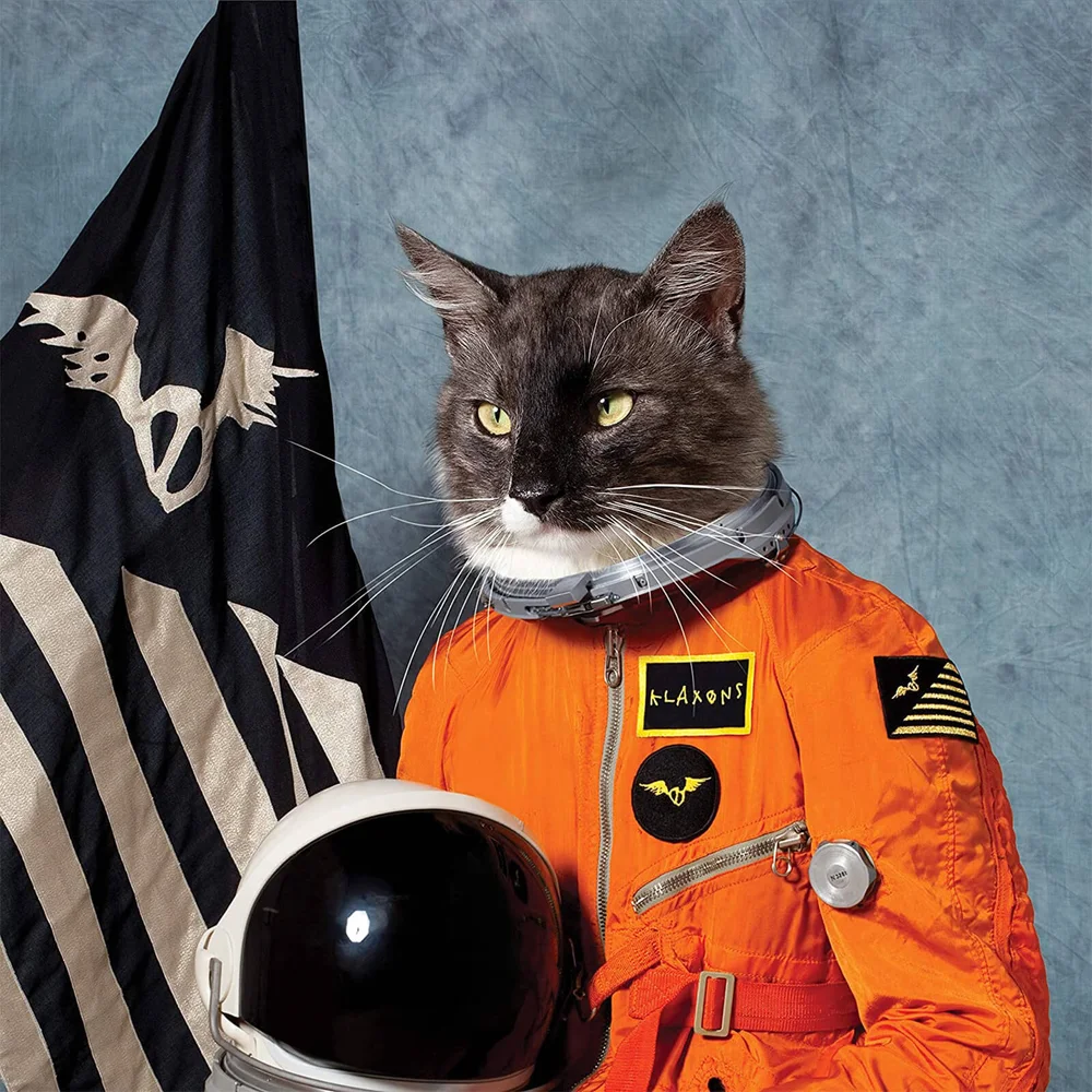 Klaxons - Surfing the Void 2LP - Orangefarbenes Vinyl (RSD 2020) Bild 1