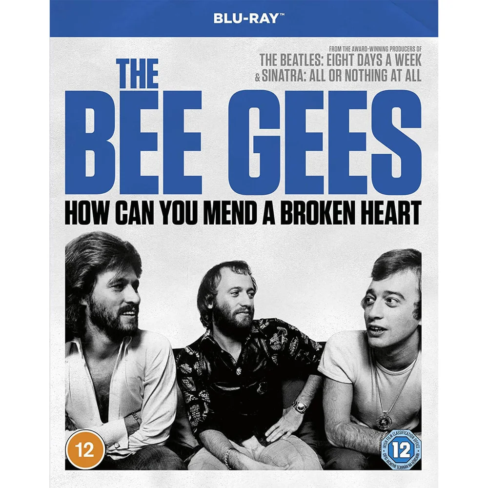 Bee Gees: How Can you Mend a Broken Heart Bild 1