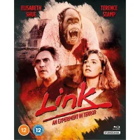 Link