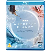 Ein perfekter Planet