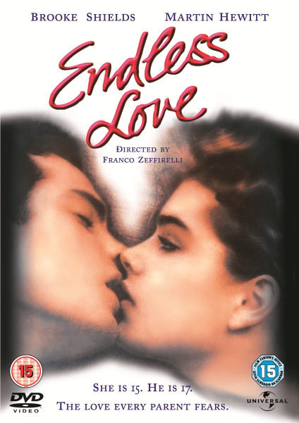Endless Love Bild 1