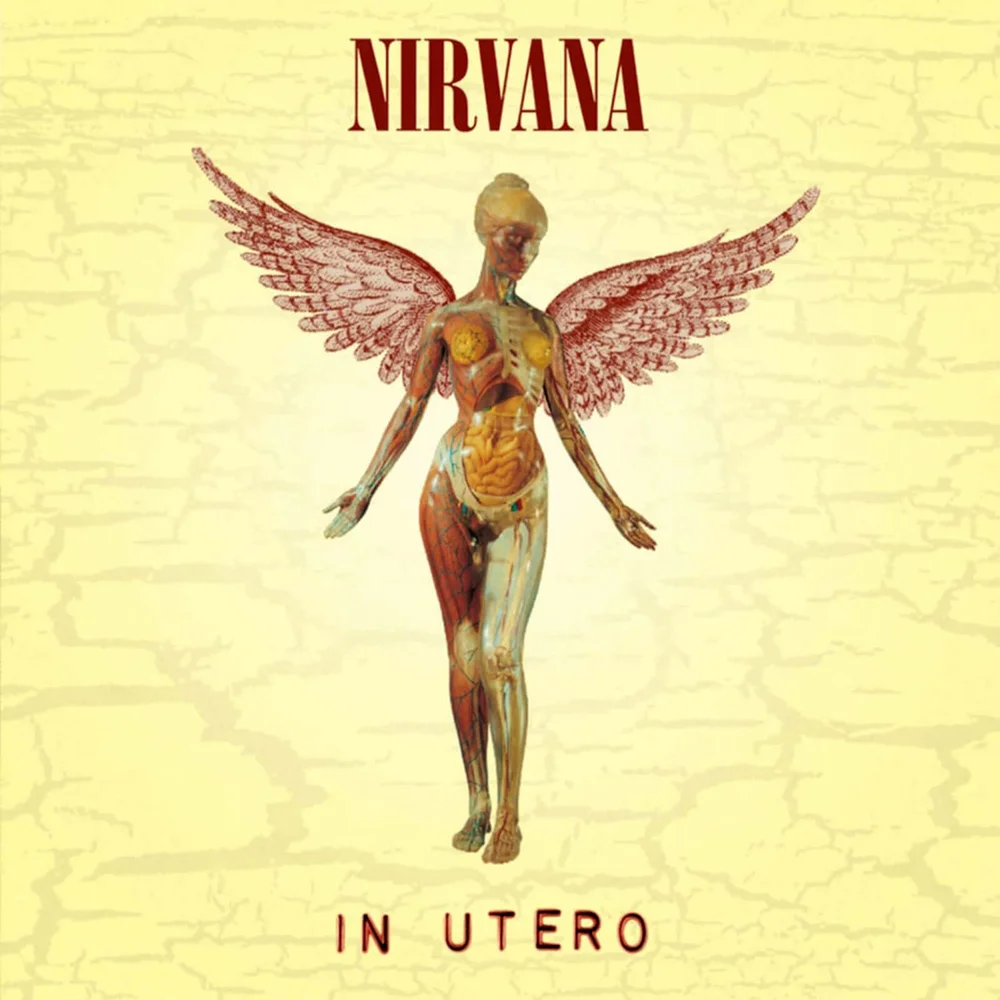 Nirvana - In Utero Vinyl Bild 1