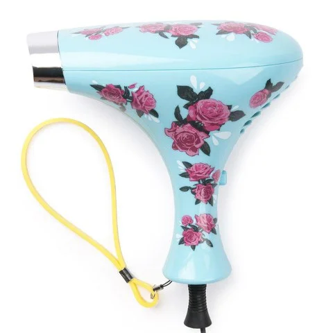 Corioliss Vintage Blue Floral Haartrockner Bild 1