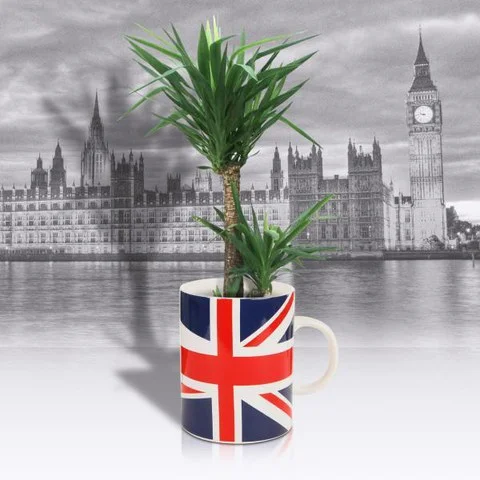 Giant Union Jack Mug Plant Pot Bild 1