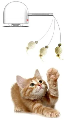 Frolicat Twitch Bild 1