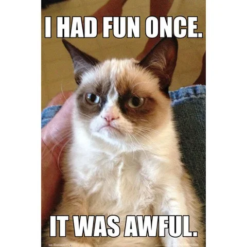 Grumpy Cat - Maxi Poster - 61 x 91.5cm Bild 1