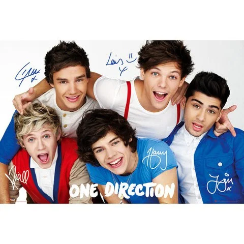 One Direction Colours - Maxi Poster - 61 x 91.5cm Bild 1