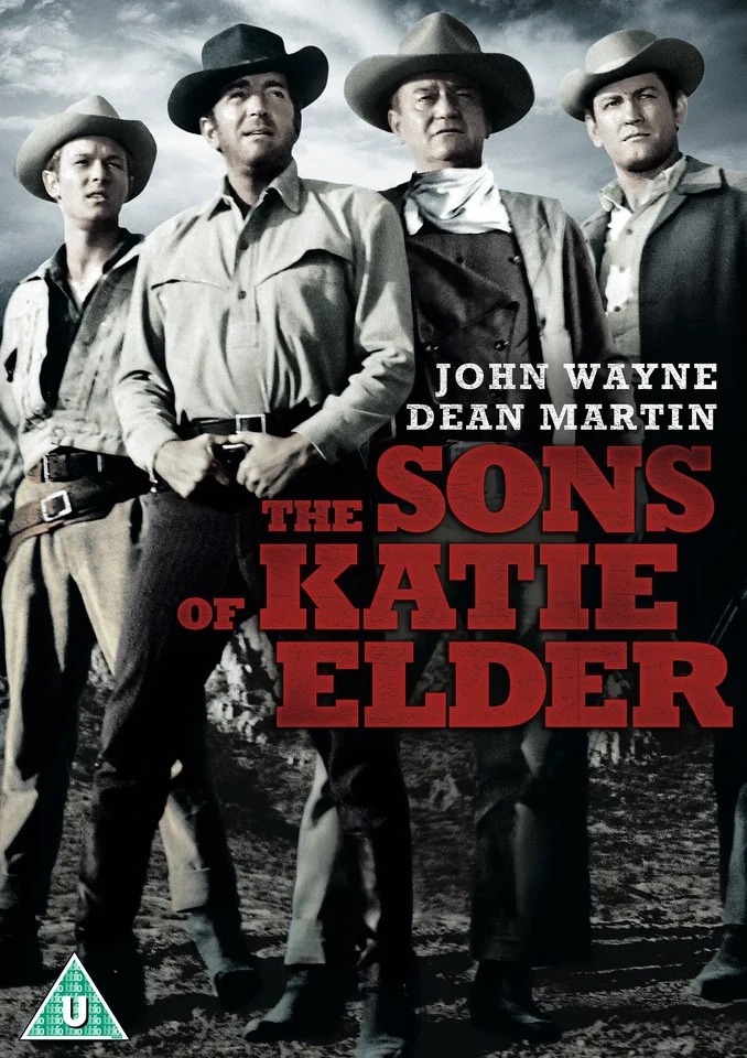 The Sons of Katie Elder Bild 1