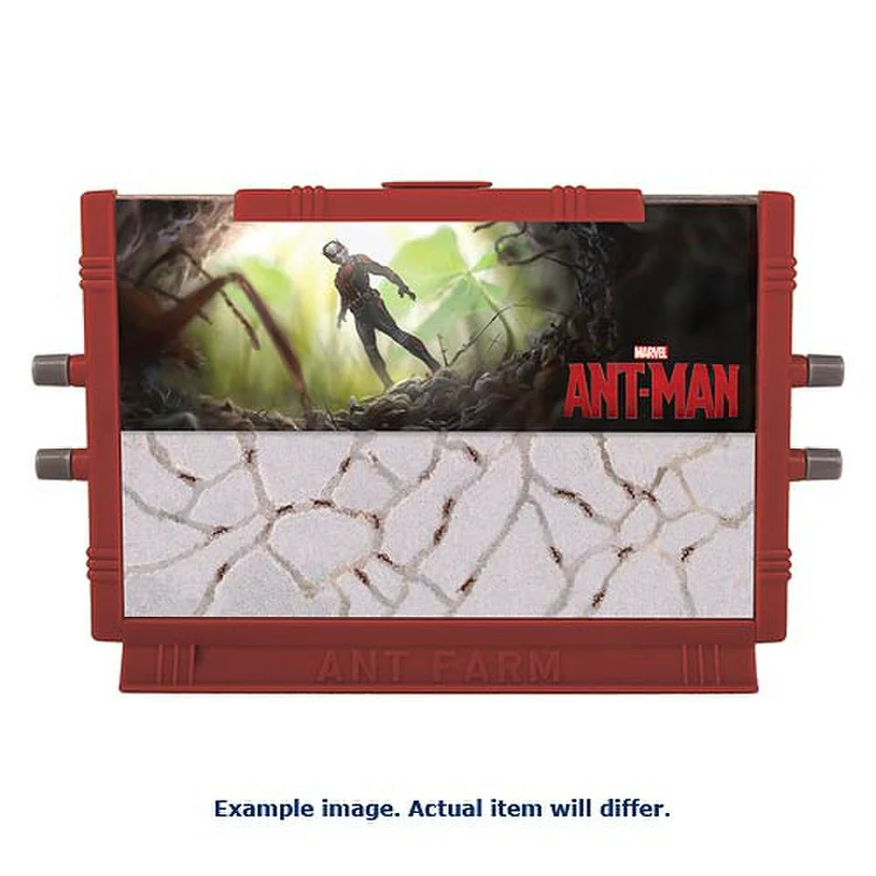 Ant-Man Ant Farm - Marvel Bild 1