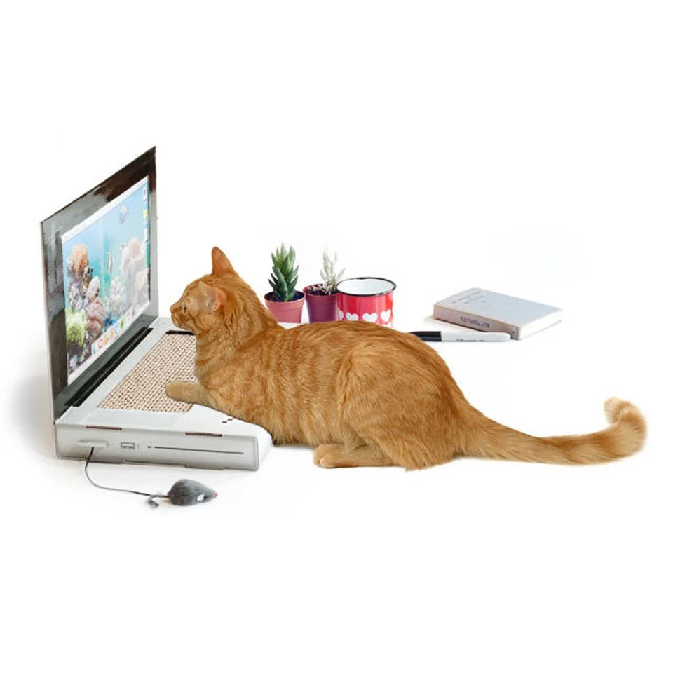 Cat Laptop Scratch Pad Bild 1