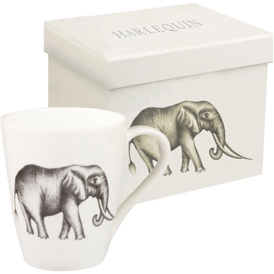 Harlequin Savanna Aspen Mug Gift Box - Opal Bild 1