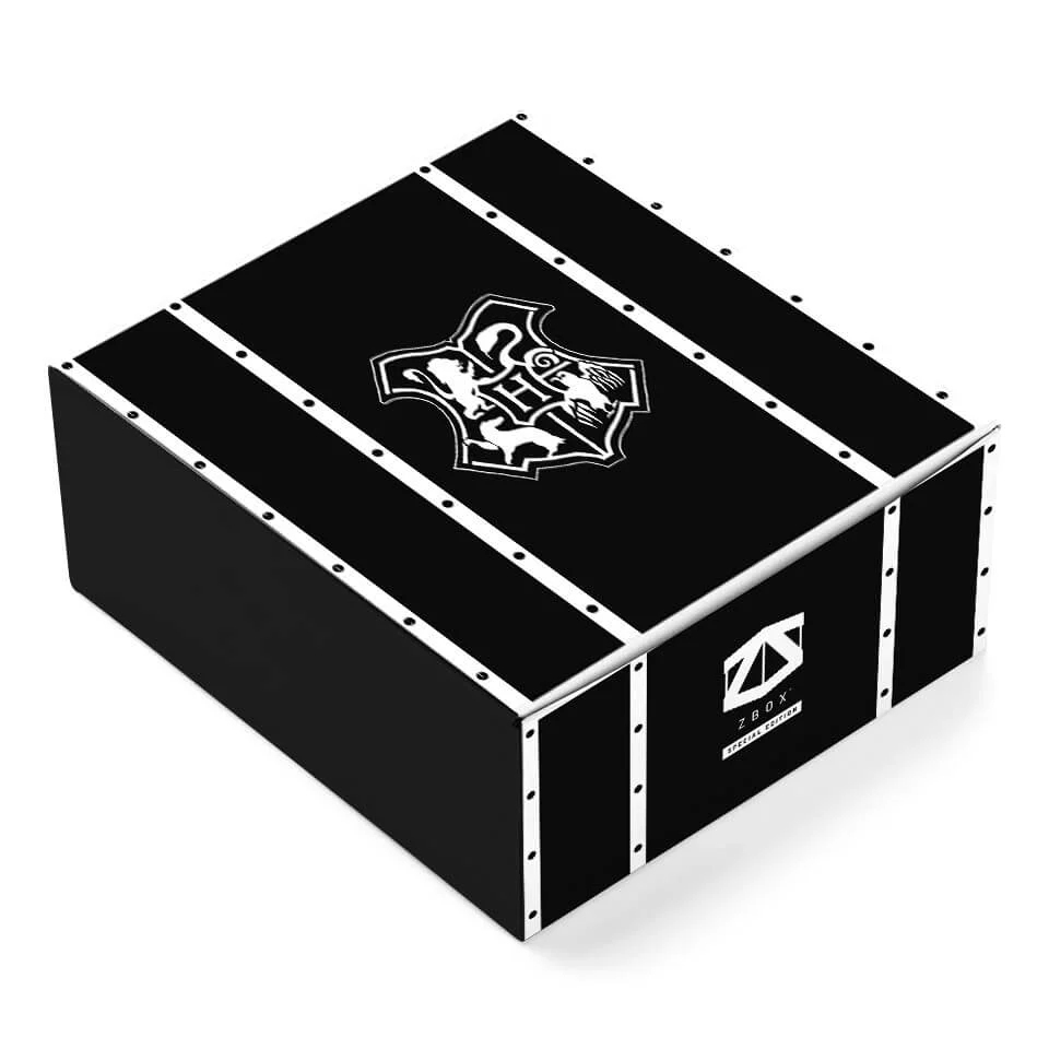 Harry Potter Überraschungsbox Bild 1
