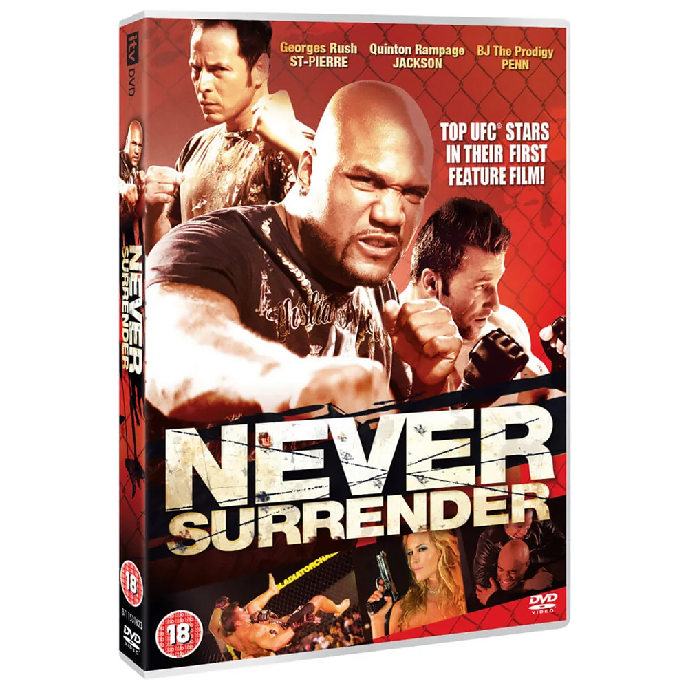 Never Surrender Bild 1