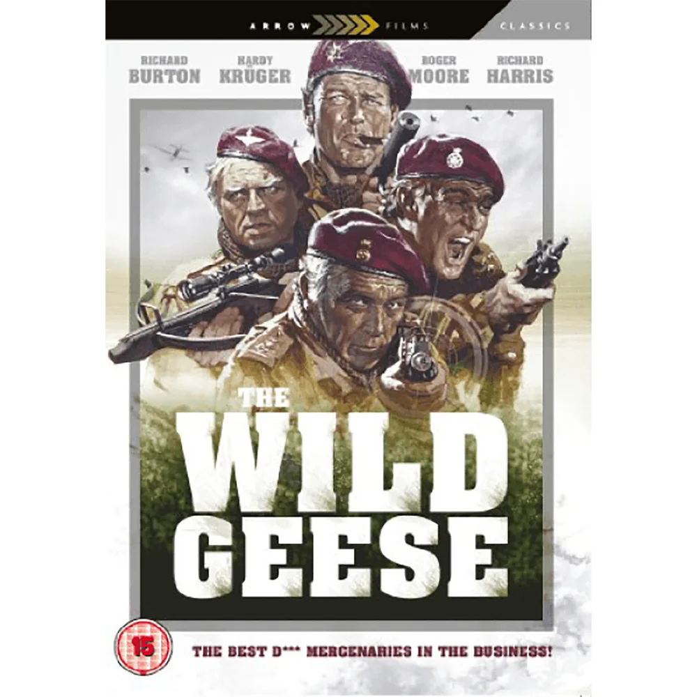 Wild Geese Bild 1