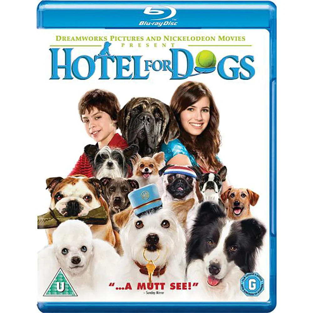 Hotel für Hunde Bild 1